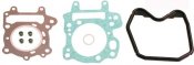 Engine TOP END gaskets RMS 100689221